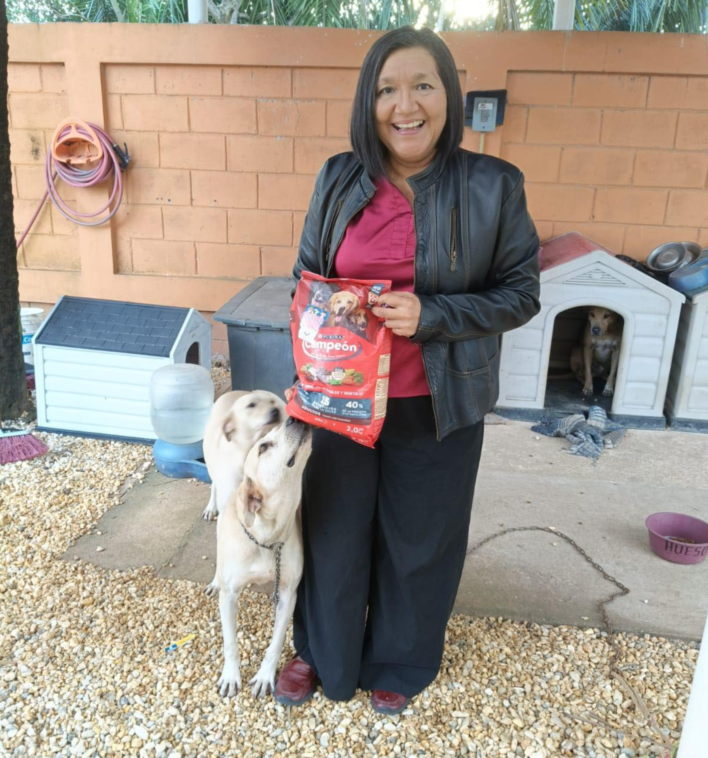 Voluntariado AMOA principal