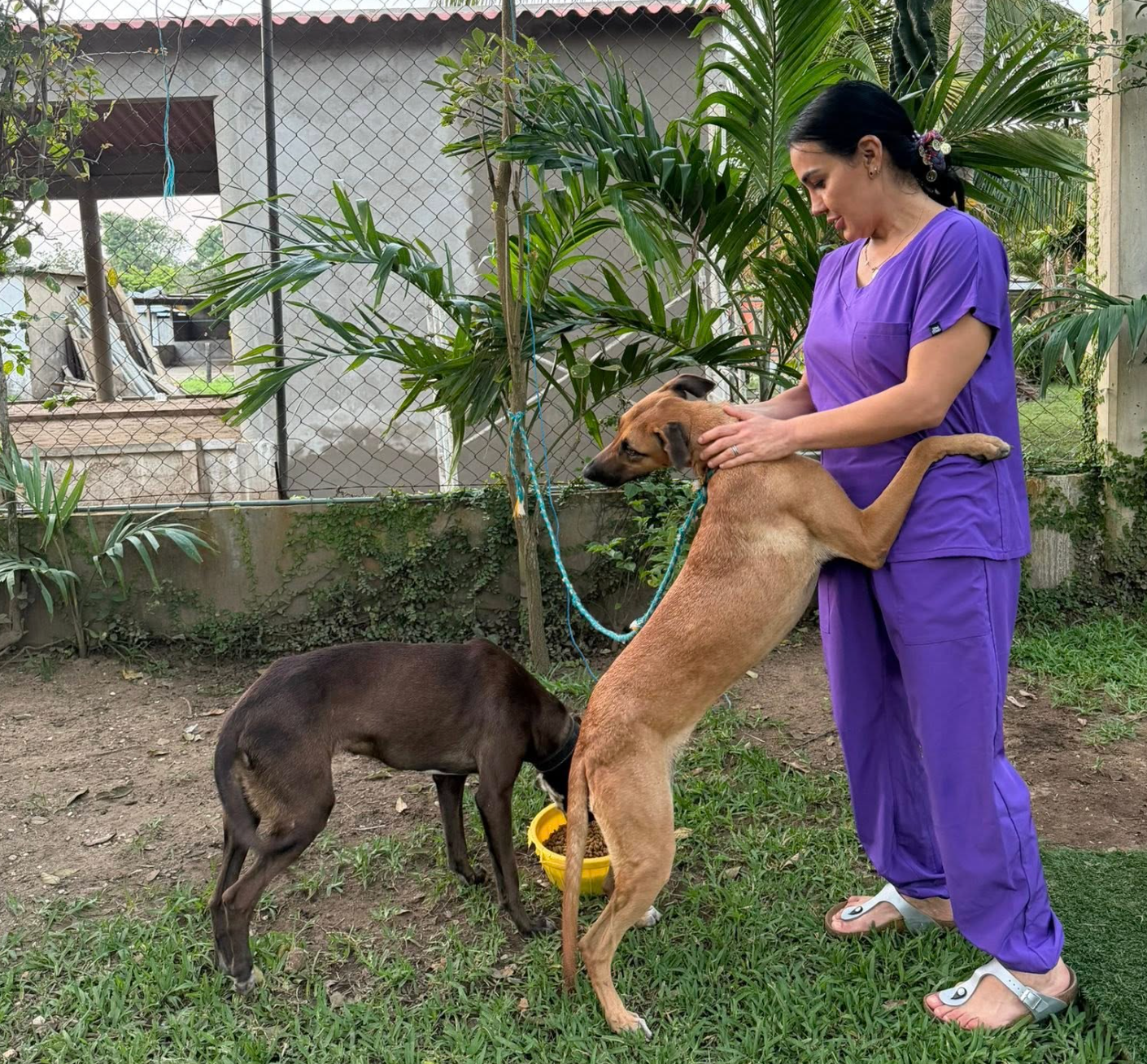 Voluntariado AMOA foto 3